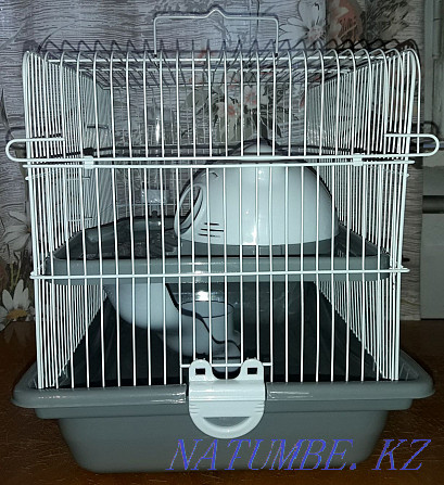 Selling a cage for rodents. Pavlodar - photo 2