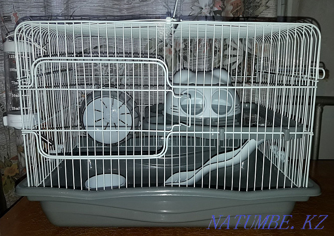 Selling a cage for rodents. Pavlodar - photo 1