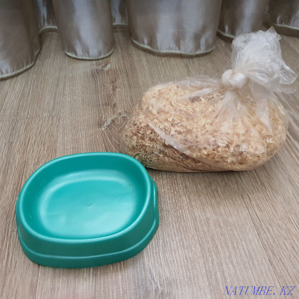 Продам все для хомяка! Алматы - изображение 5