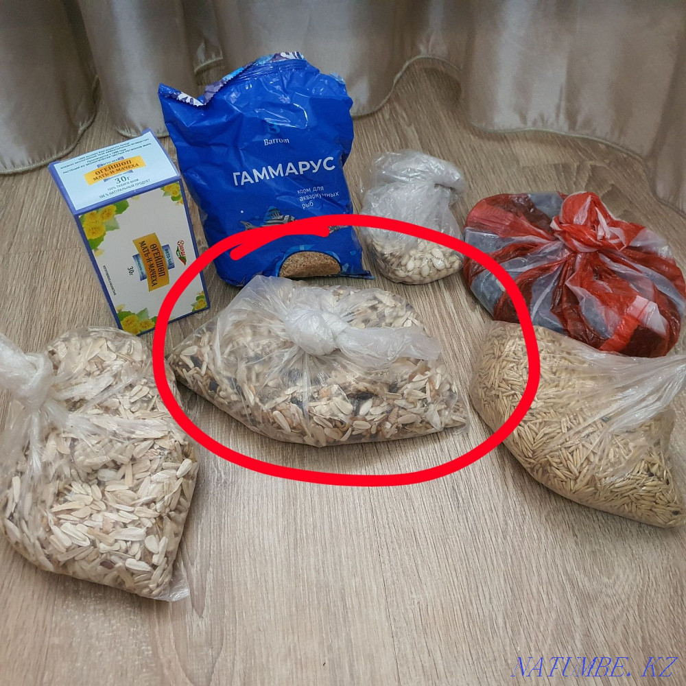 Продам все для хомяка! Алматы - изображение 6