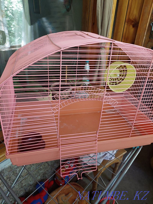 Клетка для грызунов Павлодар - изображение 1