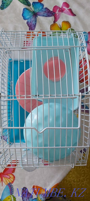Клетка для хомяка Актобе - изображение 2