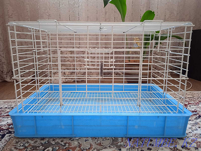 rodent cage Shymkent - photo 2