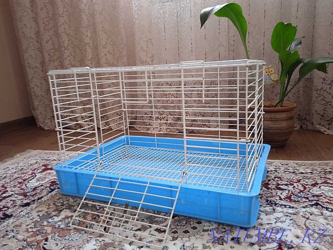 rodent cage Shymkent - photo 1