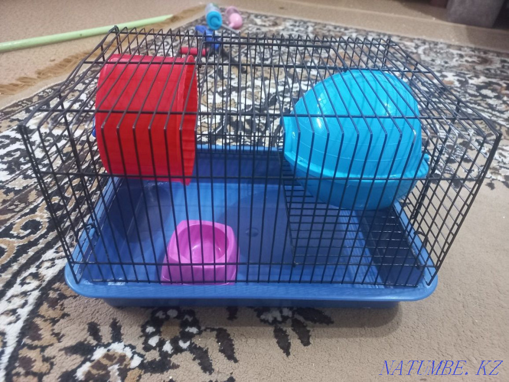 Cage with hamster Almaty - photo 7