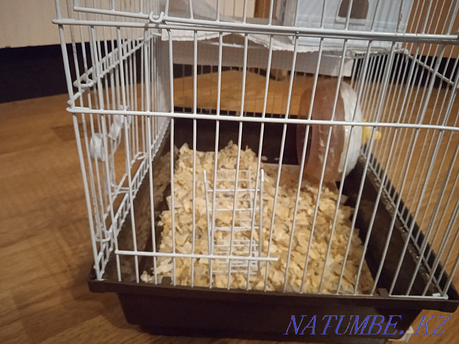 Cage for a hamster Almaty - photo 3