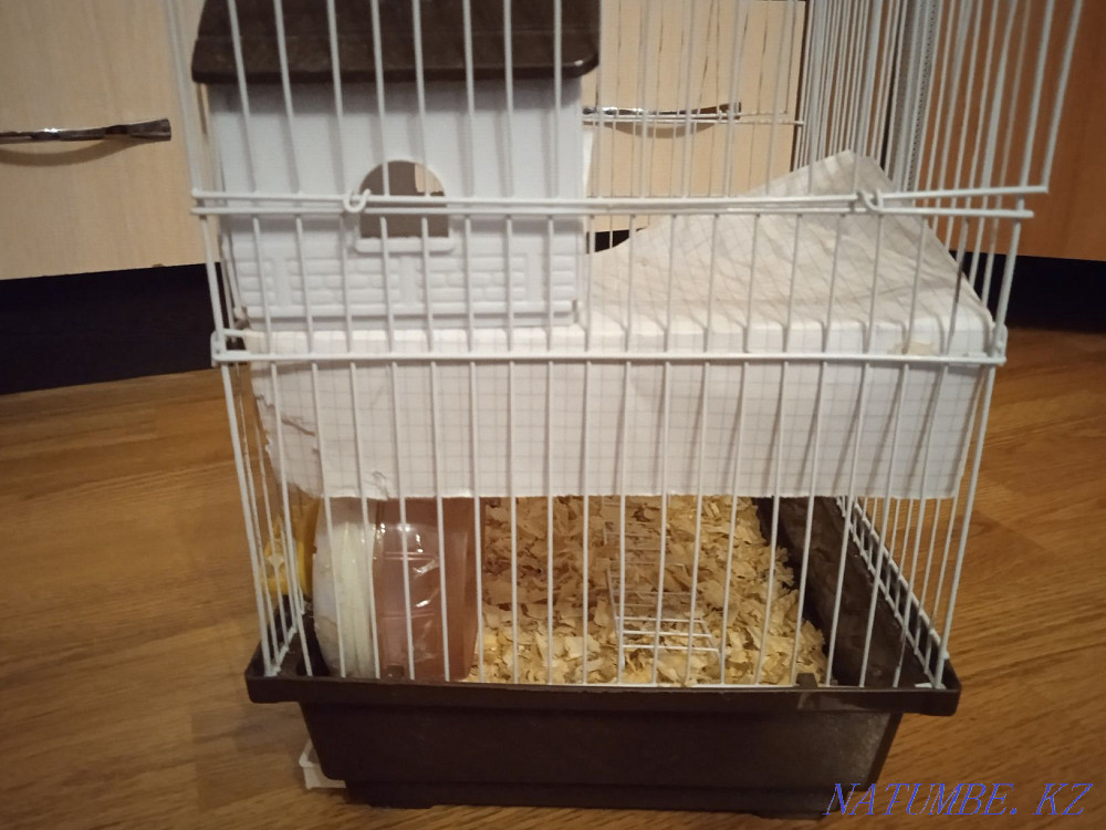 Cage for a hamster Almaty - photo 4