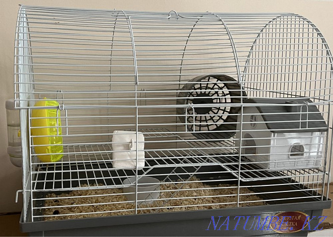 Hamster cage Astana - photo 1