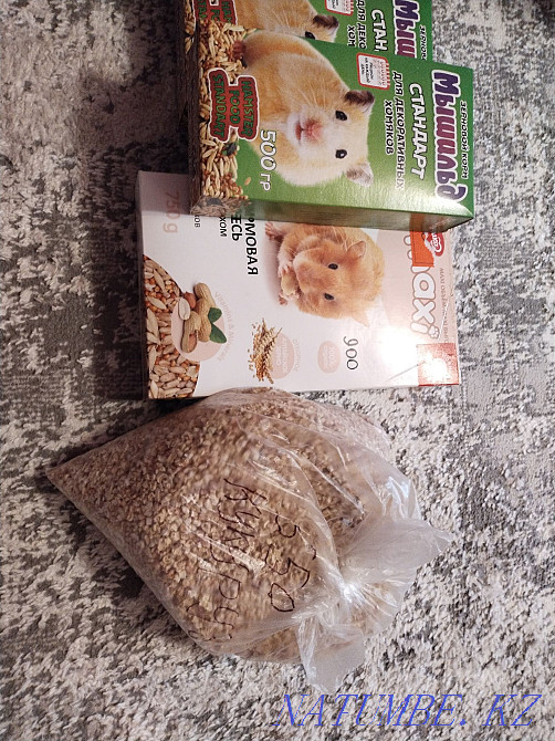 хомяк торлары сатылады  Өскемен - изображение 2