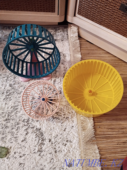 хомяк торлары сатылады  Өскемен - изображение 3