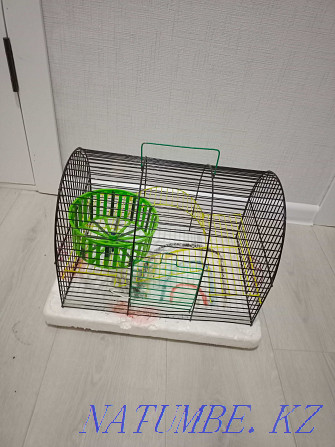 I will sell a cage for a hamster, a parrot and other rodents, the state of the norms Oral - photo 1