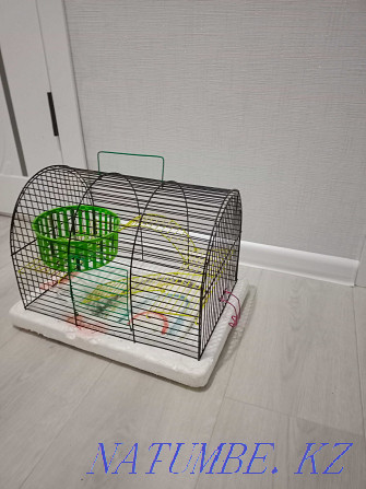 I will sell a cage for a hamster, a parrot and other rodents, the state of the norms Oral - photo 2