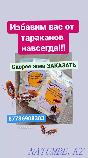 100% proven product Astana - photo 3