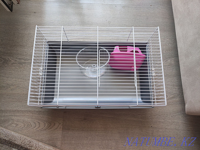 Cage for a hamster Almaty - photo 1