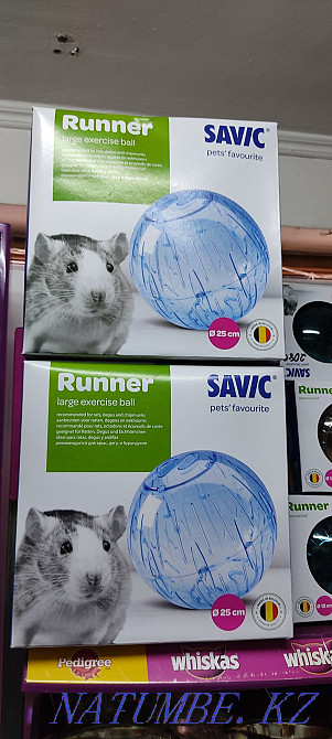Walking balls for rodents Almaty - photo 1