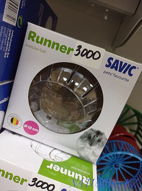 Ball for a hamster walking 3000 Belgium Astana - photo 1