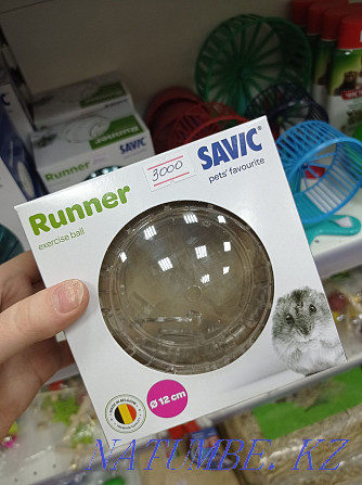 Hamster ball 12cm. Running ball Astana - photo 1