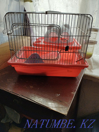 Hamster cage Makinsk - photo 1