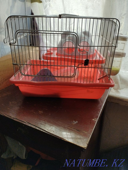 Hamster cage Makinsk - photo 1