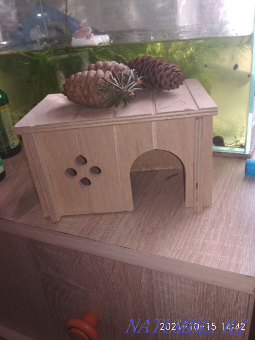 хомяк үшін үй  Макинск - изображение 1