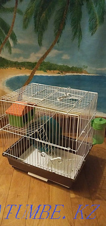 Cage hamster dzhungarik Astana - photo 1