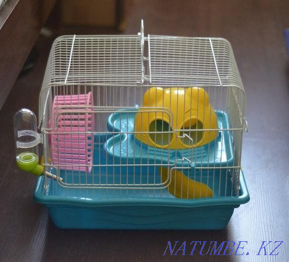 Cage with hamsters Almaty - photo 1