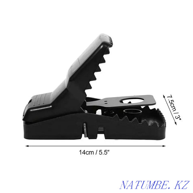 Ловушка для крыс Алматы - изображение 2