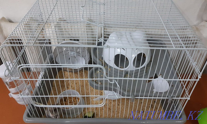Hamster cage for sale Taldykorgan - photo 4