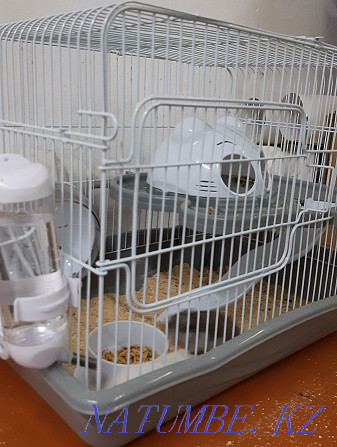 Hamster cage for sale Taldykorgan - photo 3