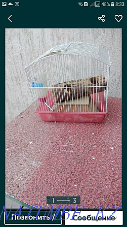 hamster cage Отеген батыра - photo 4