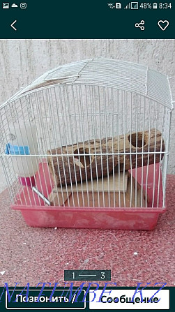hamster cage Отеген батыра - photo 1
