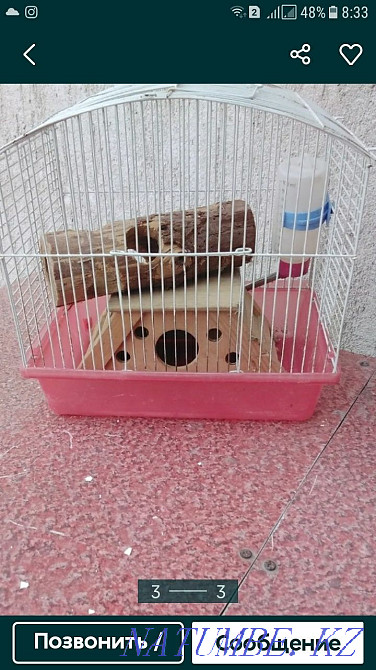 клетка для хомякоа Отеген батыра - изображение 2