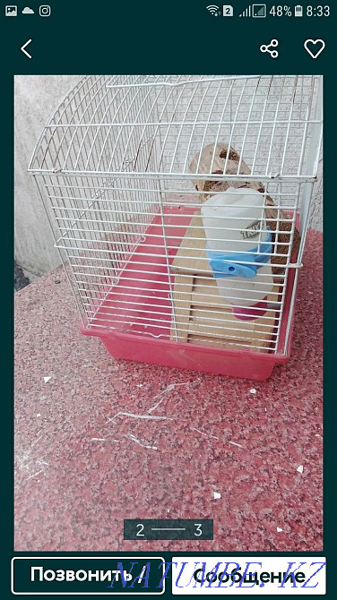 клетка для хомякоа Отеген батыра - изображение 3