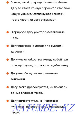 Дегу протеинін сатыңыз  Петропавл - изображение 4