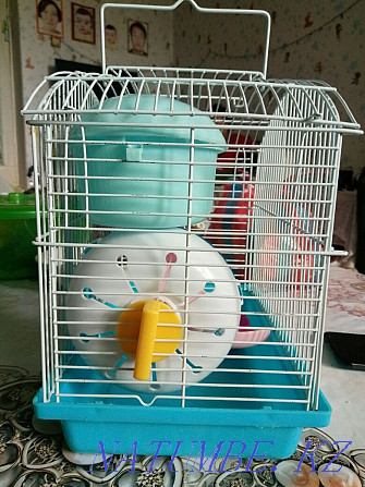 Hamster cage for Sorang - photo 1