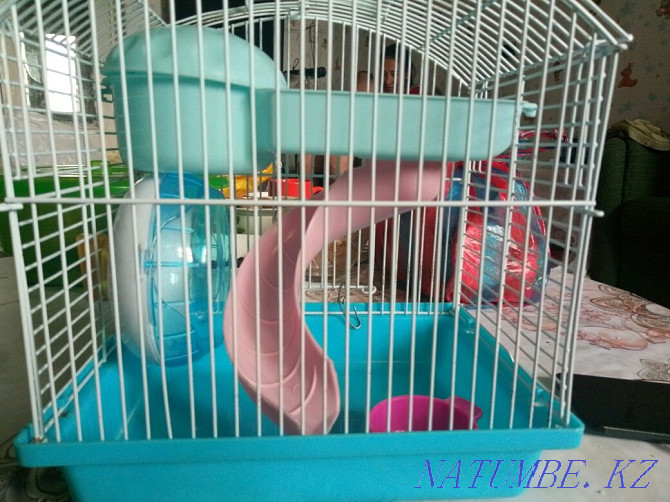 Hamster cage for Sorang - photo 4