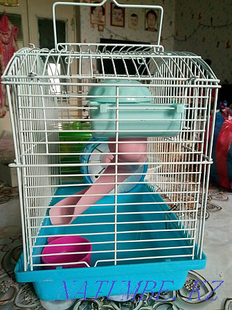 Hamster cage for Sorang - photo 5