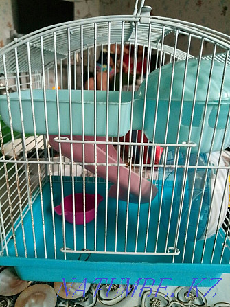 Hamster cage for Sorang - photo 3