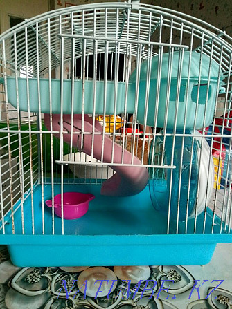 Hamster cage for Sorang - photo 2