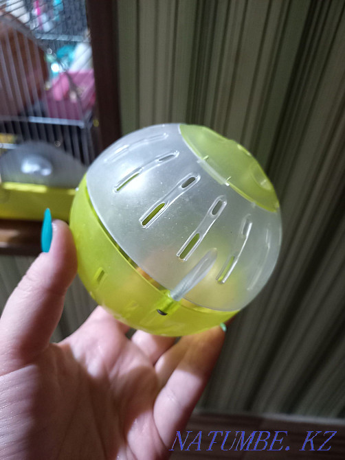 Прогулочный шар для хомяка Шымкент - изображение 1