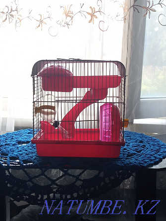 Hamster cage Shemonaikha - photo 1
