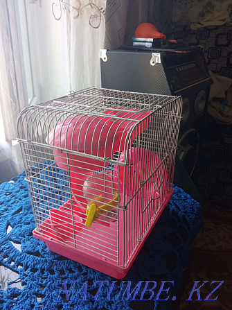 Hamster cage Shemonaikha - photo 3