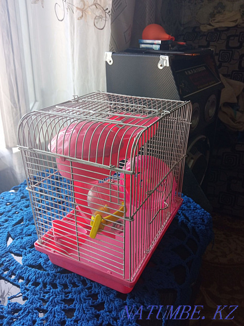 Hamster cage Shemonaikha - photo 3