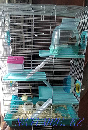 Rodent cage (rat, hamster, guinea pig) Sorang - photo 1