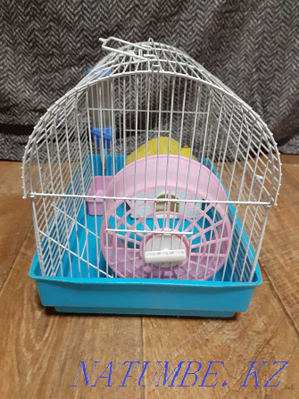 hamster cage for sale Almaty - photo 2