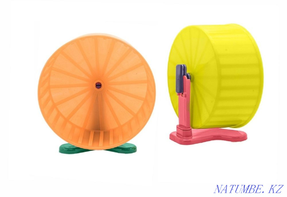 hamster wheel Astana - photo 1