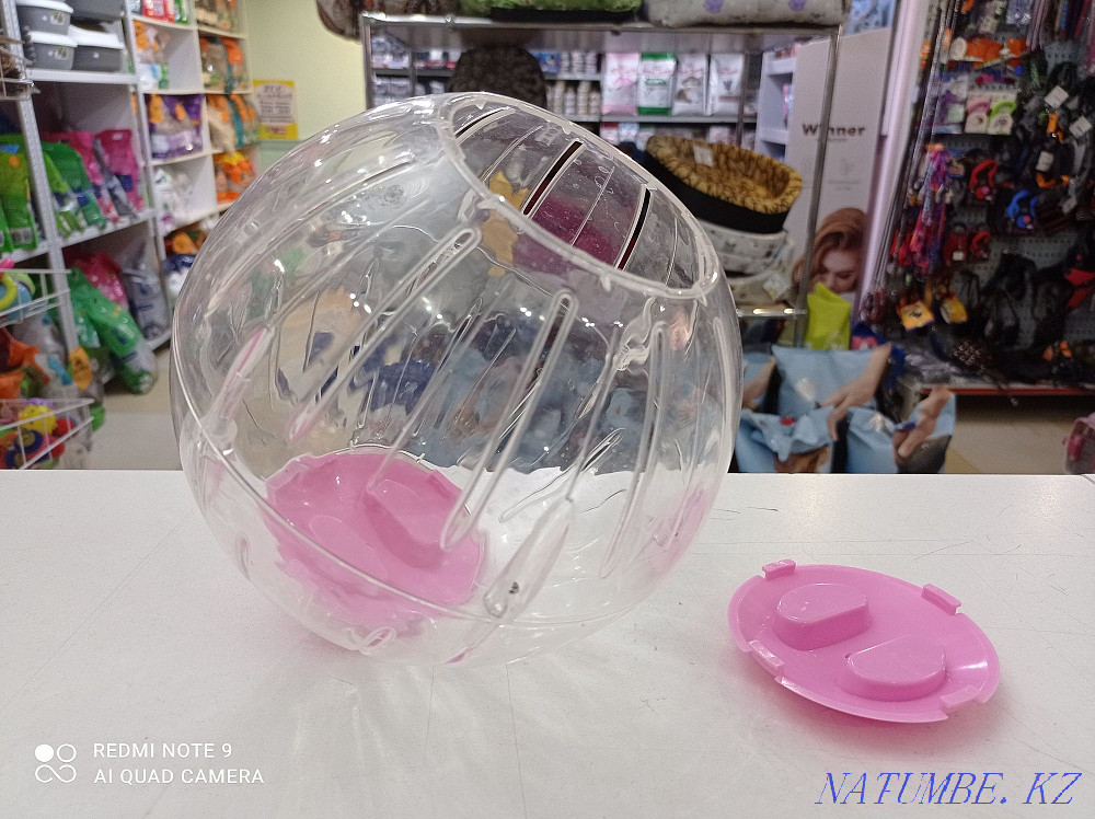 Ball for rodents Astana - photo 2