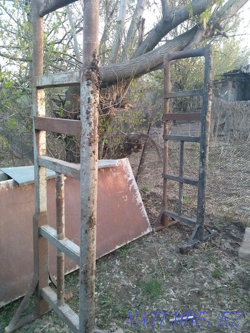 The woods. The woods. The woods Almaty - photo 4