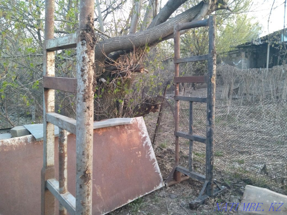 The woods. The woods. The woods Almaty - photo 3