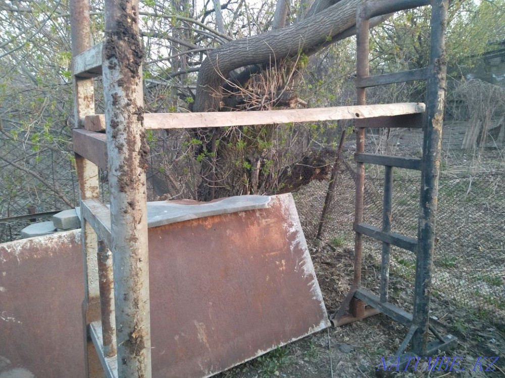 The woods. The woods. The woods Almaty - photo 2